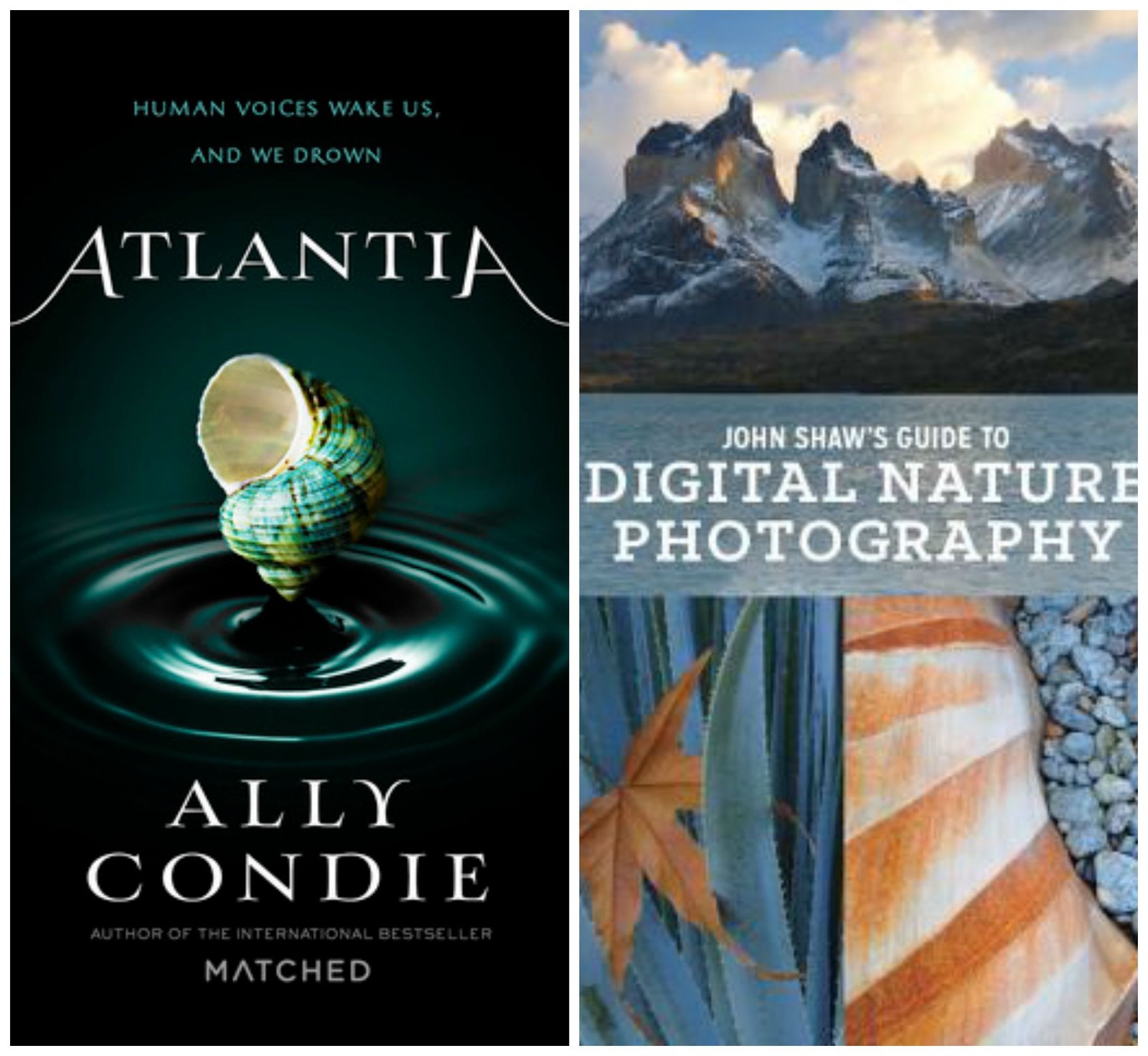 August Chapter Chats // Life with Rosie Blog