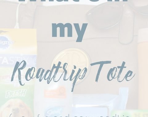 Going on a road trip this summer? Here is a complete list of all my road trip essentials for a successful trip, including treats for the dog and Extra Gum 35 pack so that I can stay awake at the wheel. #ad #GIVEEXTRAGETEXTRA #target