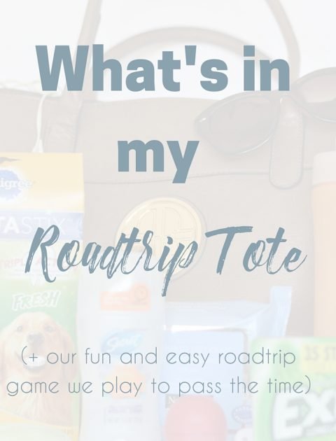 Going on a road trip this summer? Here is a complete list of all my road trip essentials for a successful trip, including treats for the dog and Extra Gum 35 pack so that I can stay awake at the wheel. #ad #GIVEEXTRAGETEXTRA #target