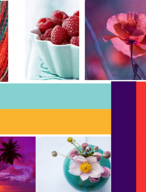 HTC Updated Color Scheme & Blog Branding // Hey There, Chelsie