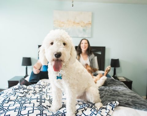 Hey There, Chelsie - a Salt Lake City Beauty Blog