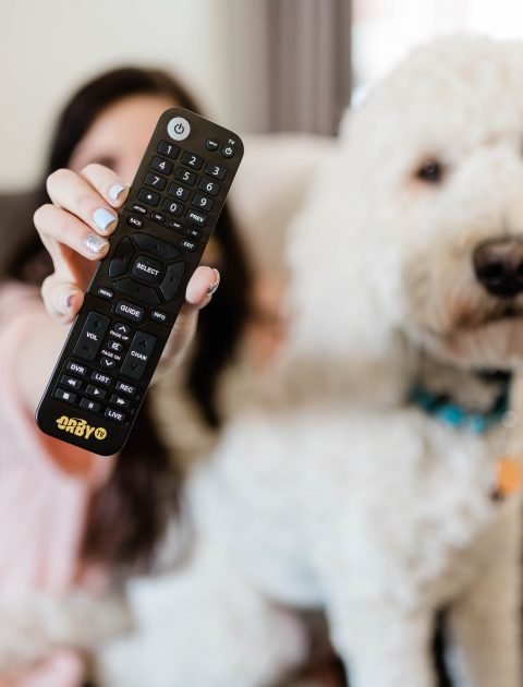 How to Save Money on Cable TV featuring OrbyTV // Hey There, Chelsie
