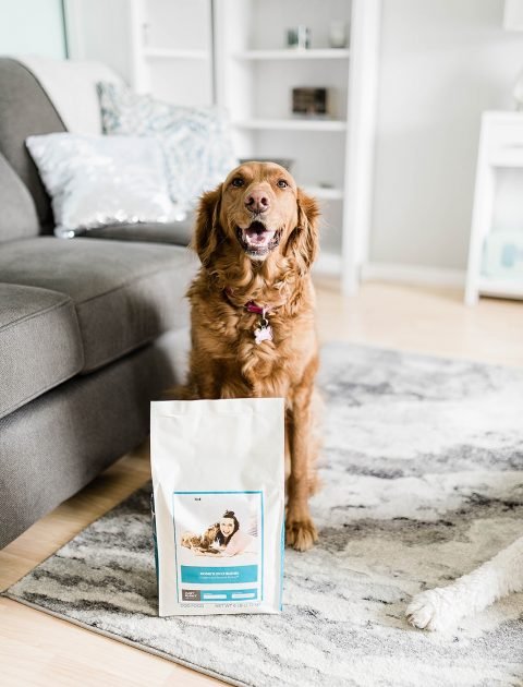 Just Right by Purina Year Review // Hey There, Chelsie