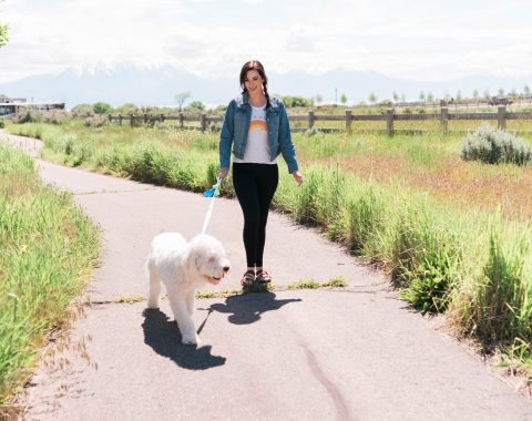 Q&A With Purina Veterinarian // Hey There, Chelsie
