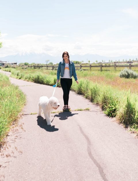 Q&A With Purina Veterinarian // Hey There, Chelsie