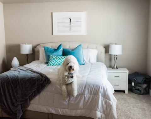 Relaxing Master Bedroom on a Budget - featuring Utah Furniture Deals // Hey There, Chelsie