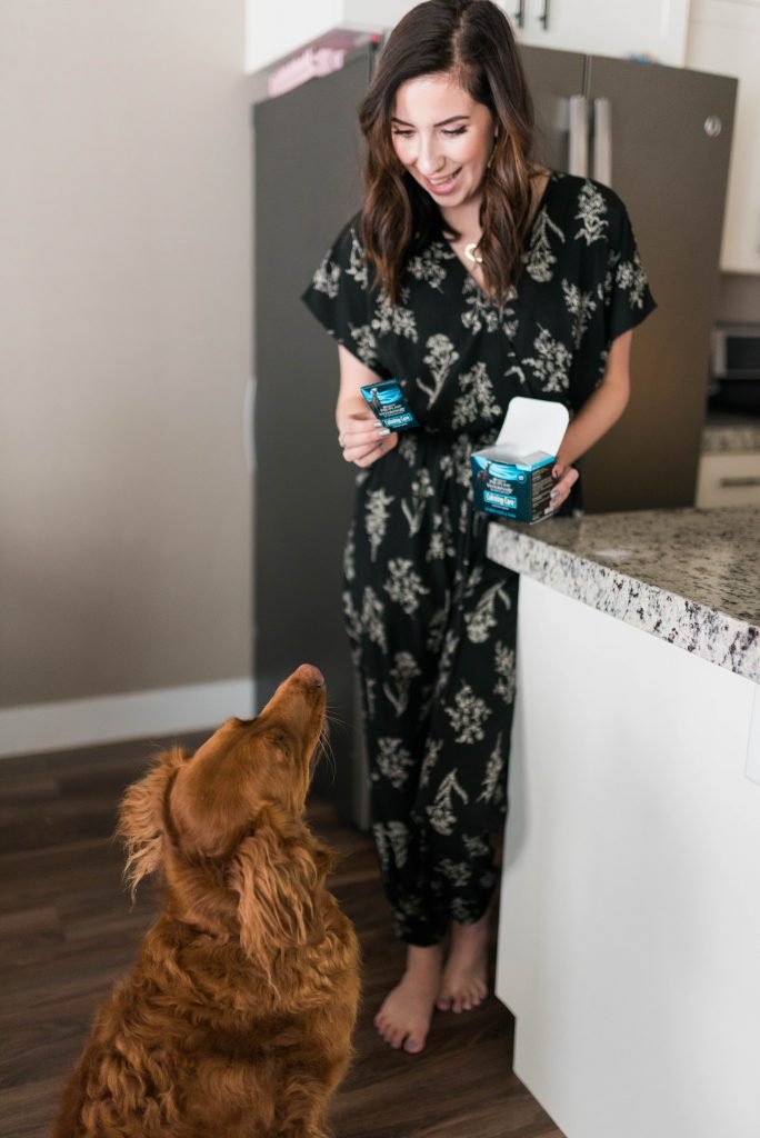 How to Help An Anxious Dog featuring Calming Care by Purina ProPlan// Hey There, Chelsie